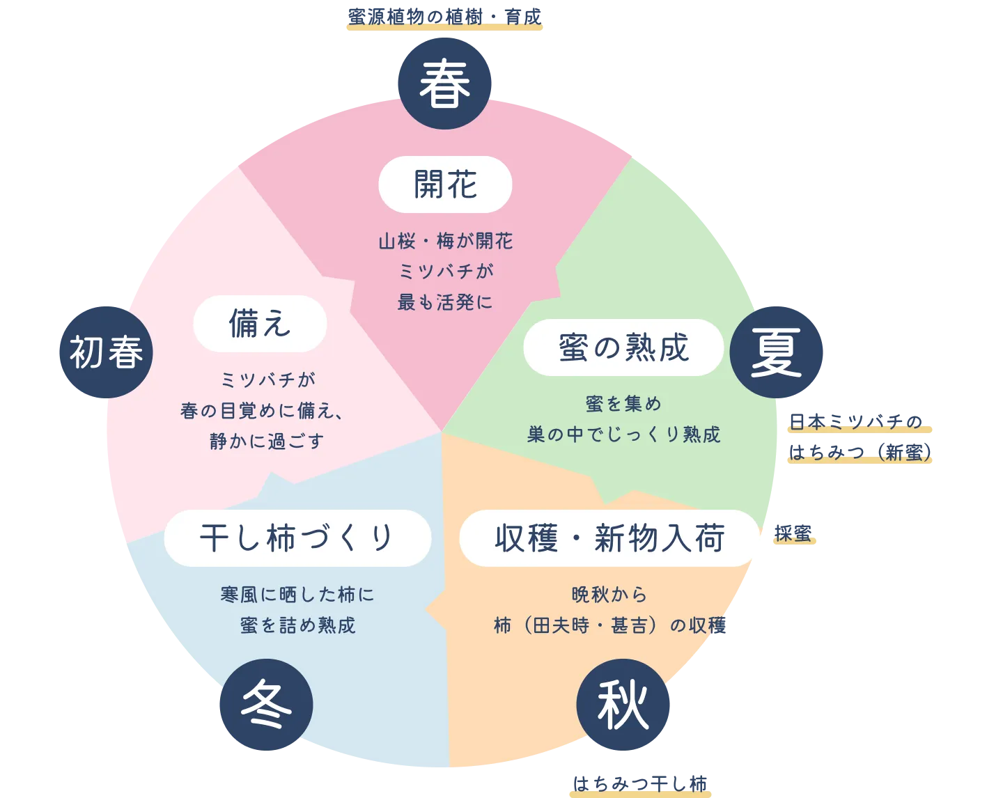 実りの目安カレンダー