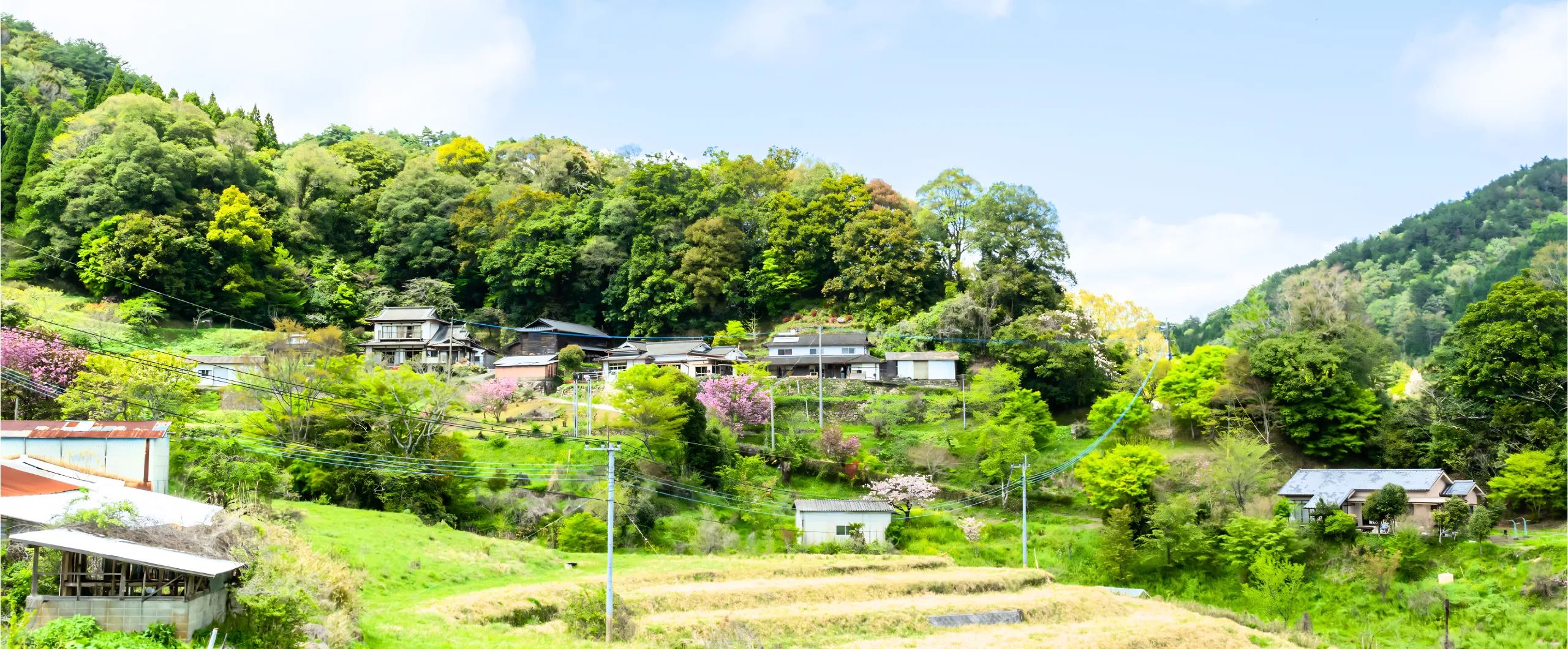 山郷の風景