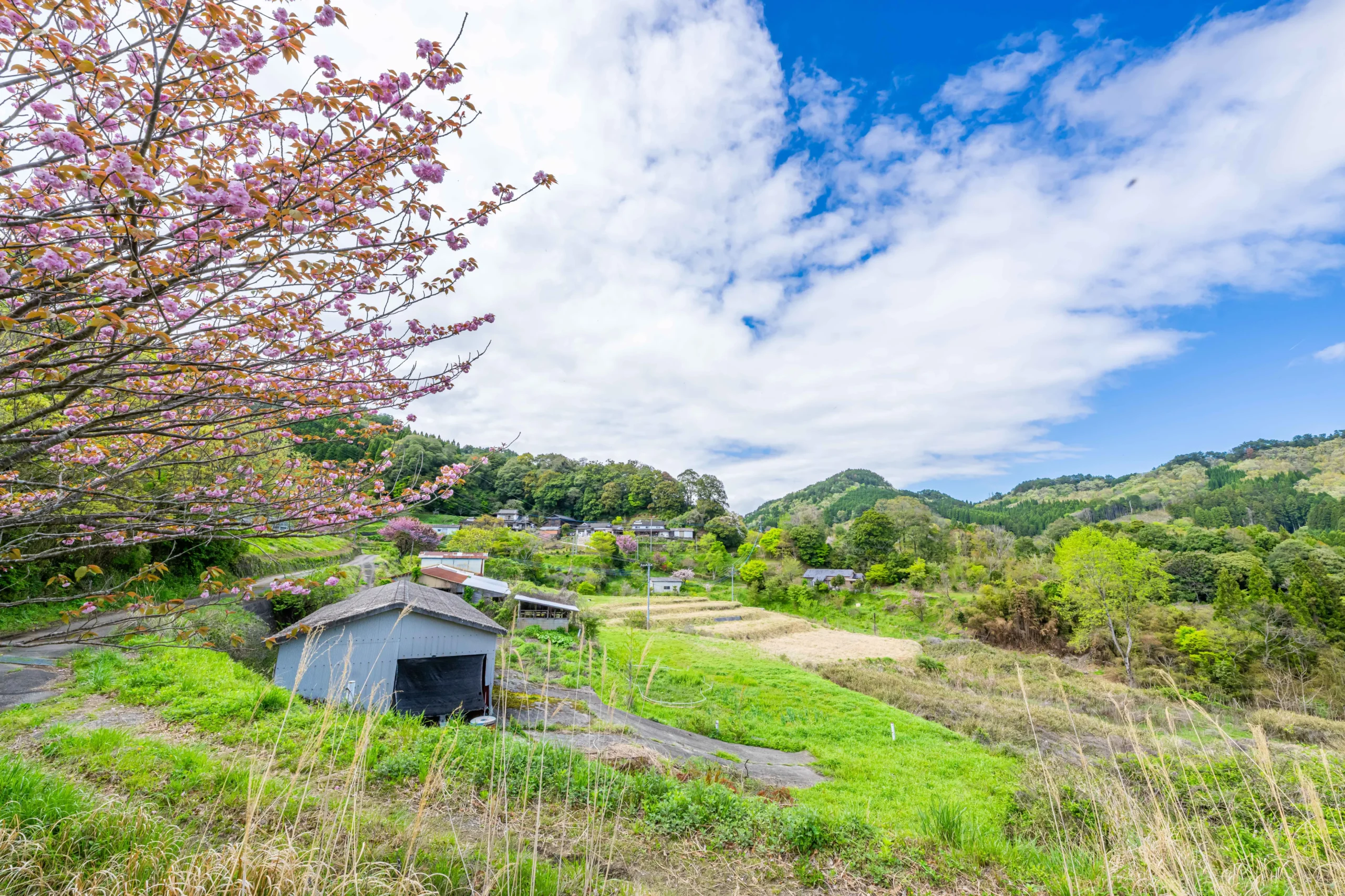 鳥屋の景色